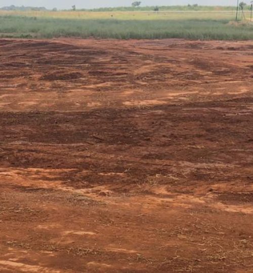 PHOTO-2020-05-11-12-06-47_1